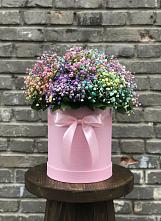 Цветочная композиция из Гипсофила и Розы в шляпной коробке #REPLACE_PRED# Белом Яре Томской области