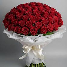 Букет 101 Красная роза Блэк Мэджик в Белом Яре Томской области