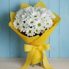 Букет цветов из:  Хризантемы в Белом Яре Томской области