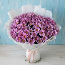 Букет цветов из:  Хризантемы в Белом Яре Томской области