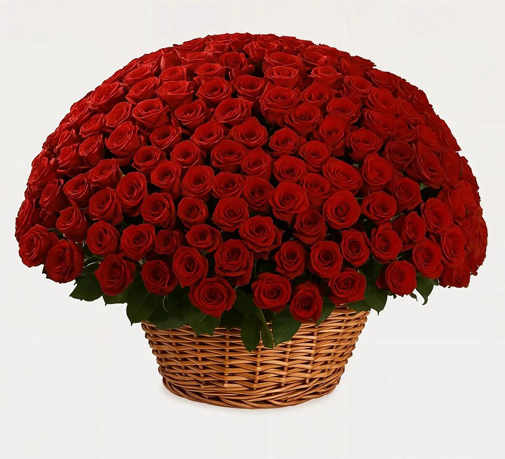 Премиум букет из: Розы в Белом Яре Томской области