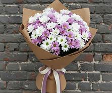 Букет цветов из:  Хризантемы #REPLACE_PRED# Белом Яре Томской области