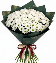 Букет цветов из:  Хризантемы #REPLACE_PRED# Белом Яре Томской области