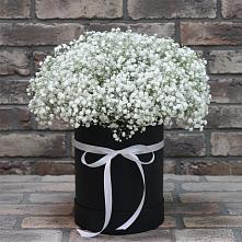 Цветочная композиция из Гипсофила в шляпной коробке в Белом Яре Томской области