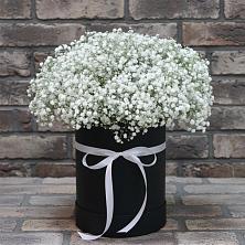 Цветочная композиция из Гипсофила в шляпной коробке в Белом Яре Томской области
